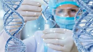 Investigador en Genética