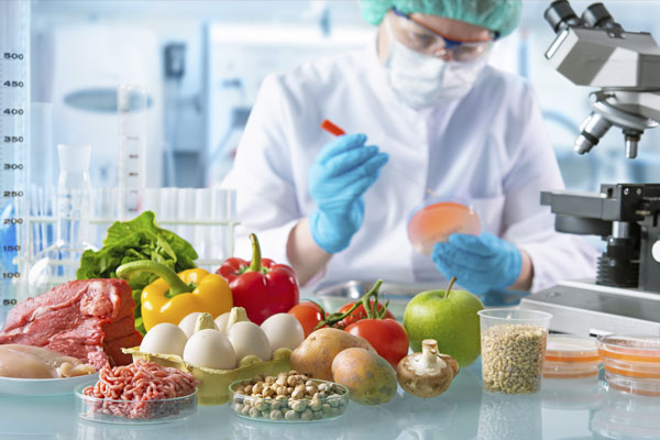 Enginyer d'Aliments