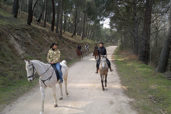 Monitor de rutas a caballo