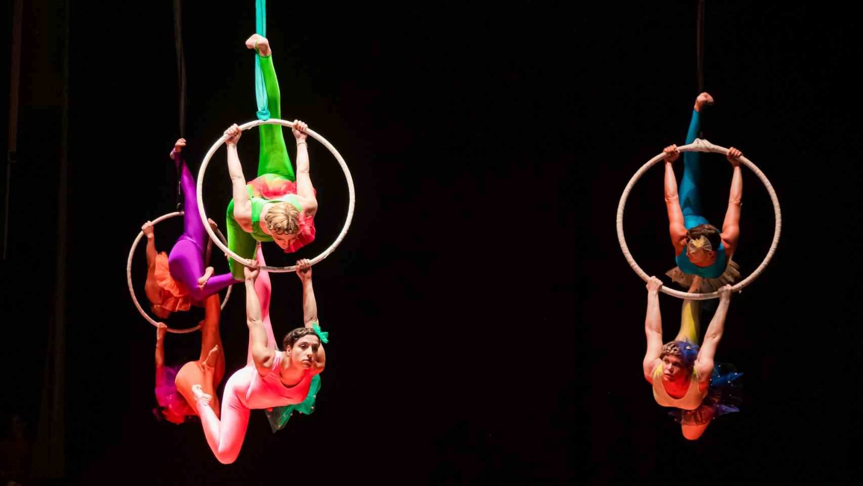 Director de Espectáculos de Circo