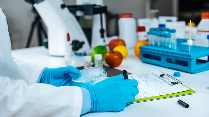 Consultor en Tecnología Alimentaria