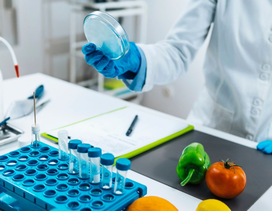 Consultor de Seguridad Alimentaria