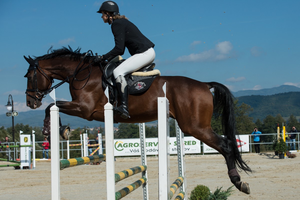 Jinete de salto