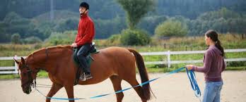Instructor de Equitación