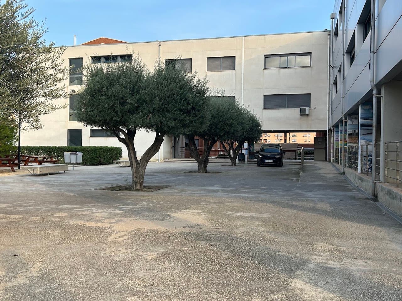 Panadería, Repostería Y Confitería en Mare Nostrum (Mare Nostrum, Alicante): foto 2