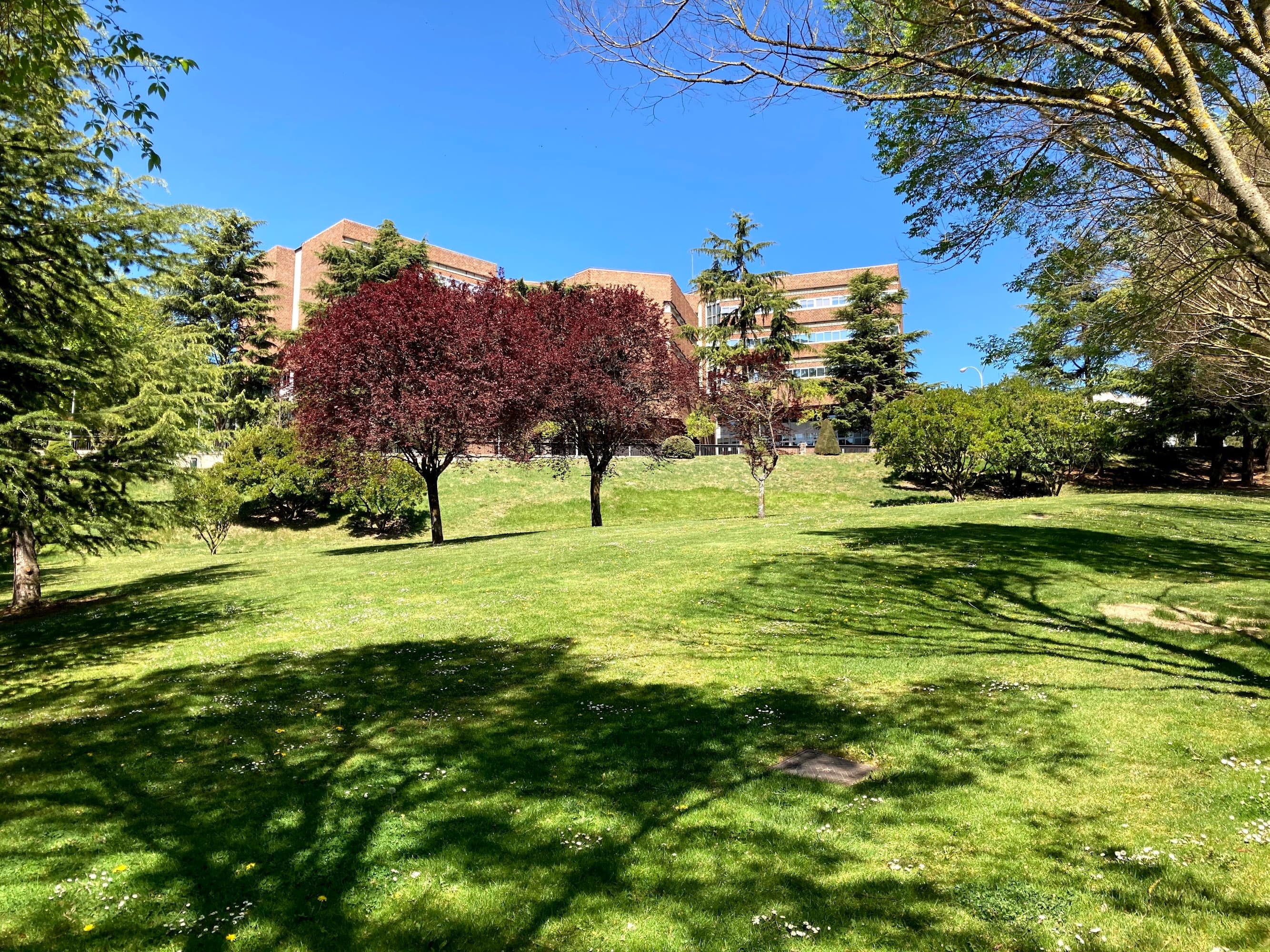 Foto del campus Facultad de Ciencias