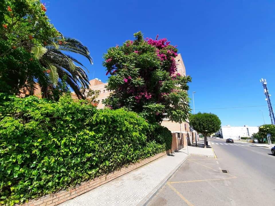 Foto del campus Centro Universitario Santa Ana