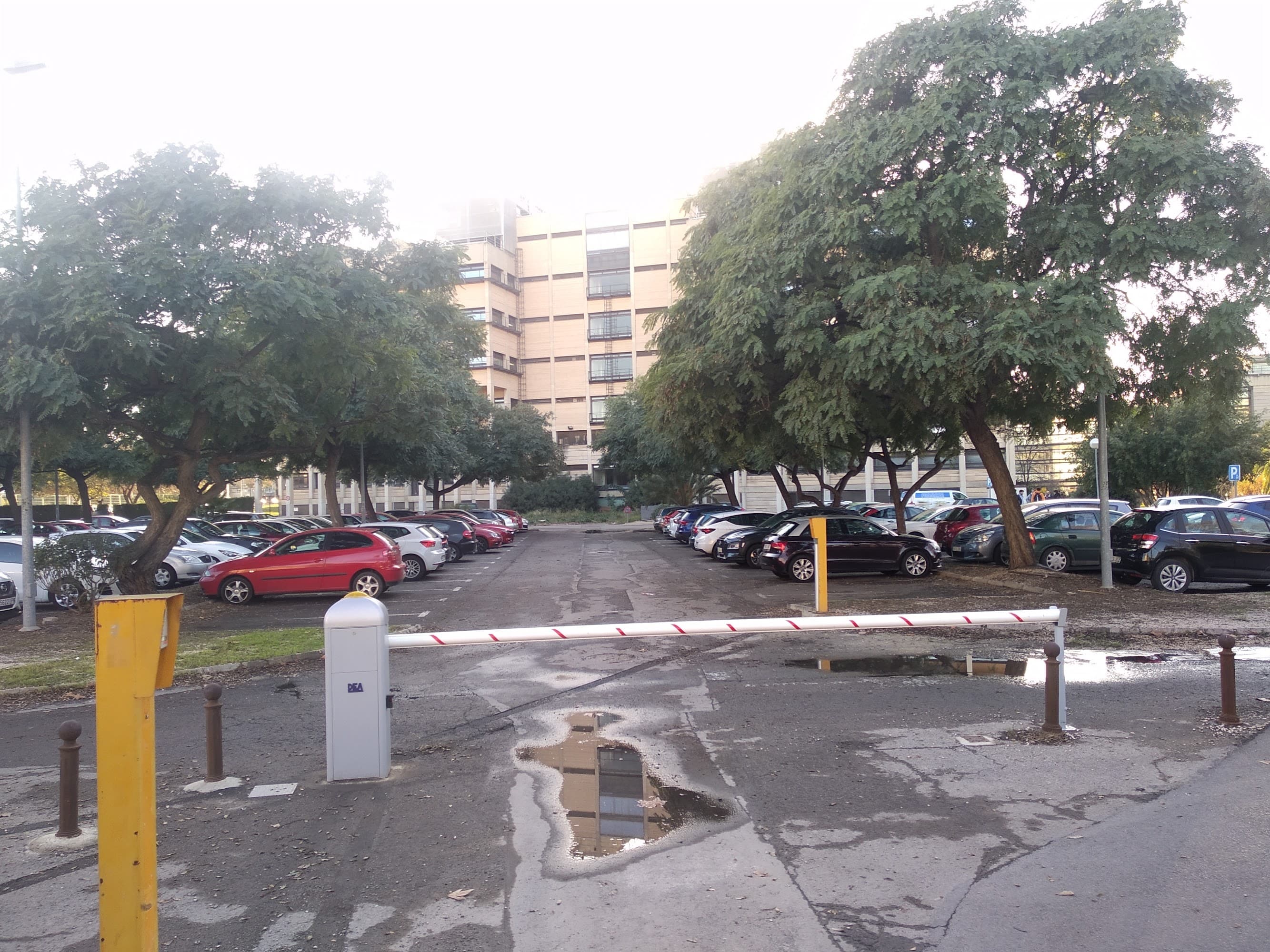 Foto secundaria del campus Facultad de Farmacia y Ciencias de la Alimentación