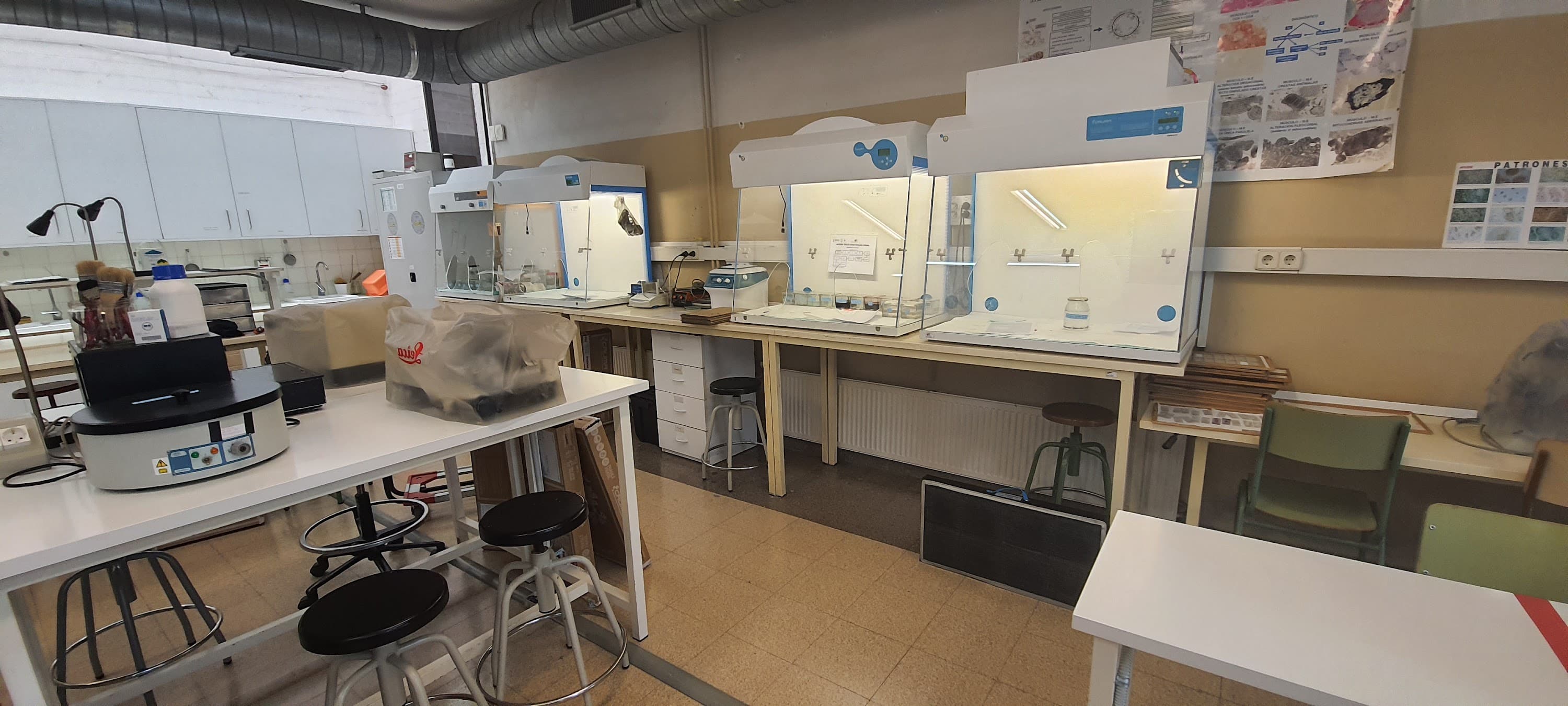 Foto secundaria del campus Institut Miquel Martí i Pol