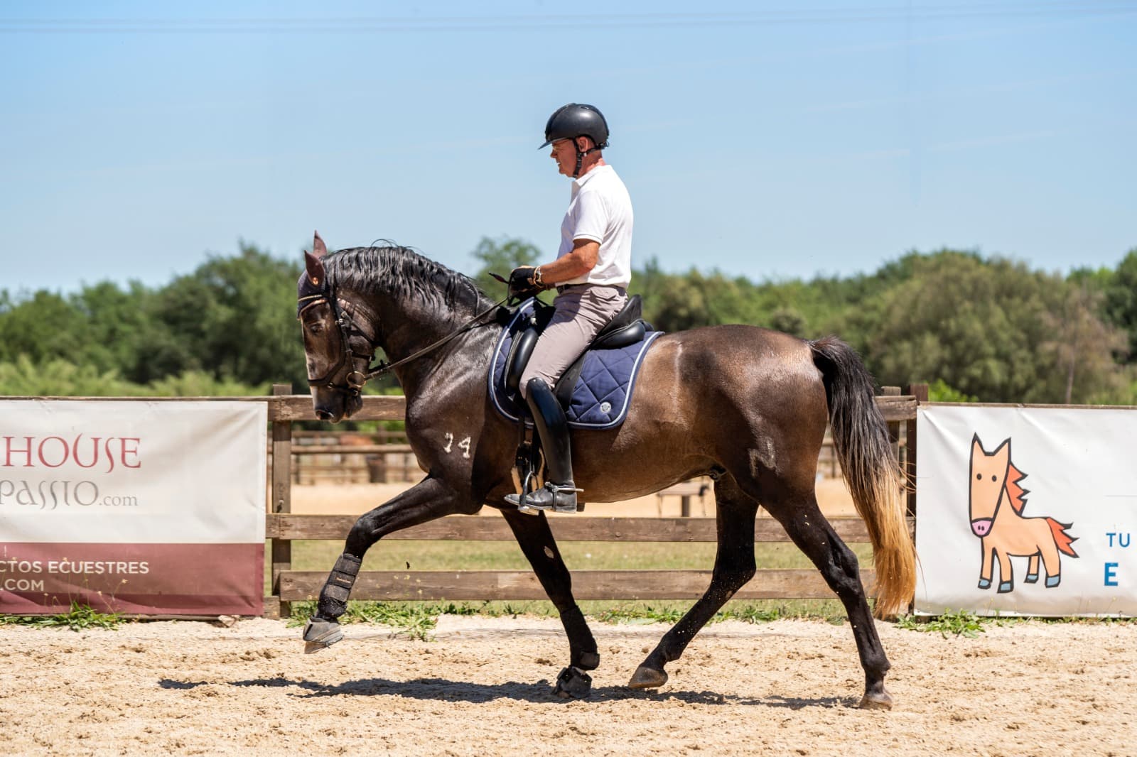 Foto secundaria del campus Cava Horse