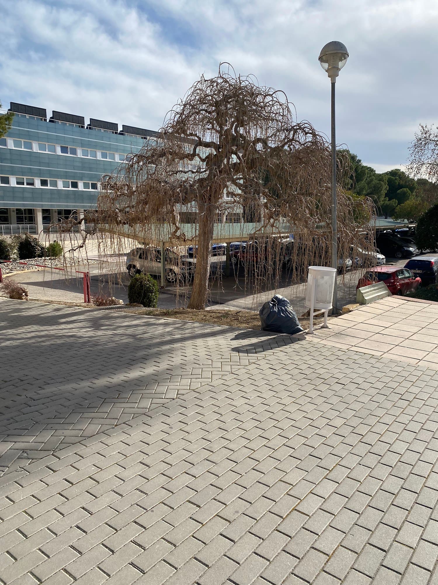 Foto secundaria del campus Campus Las Lagunillas