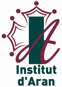 Institut d'Aran