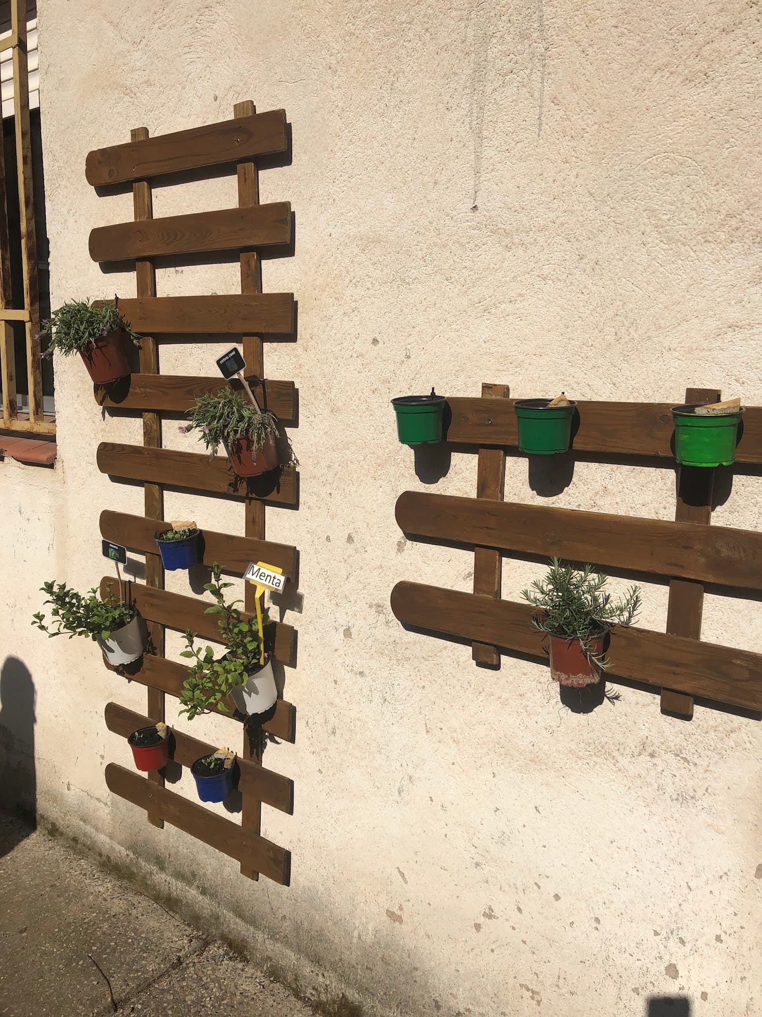 Foto secundaria del campus Institut Vicenç Plantada