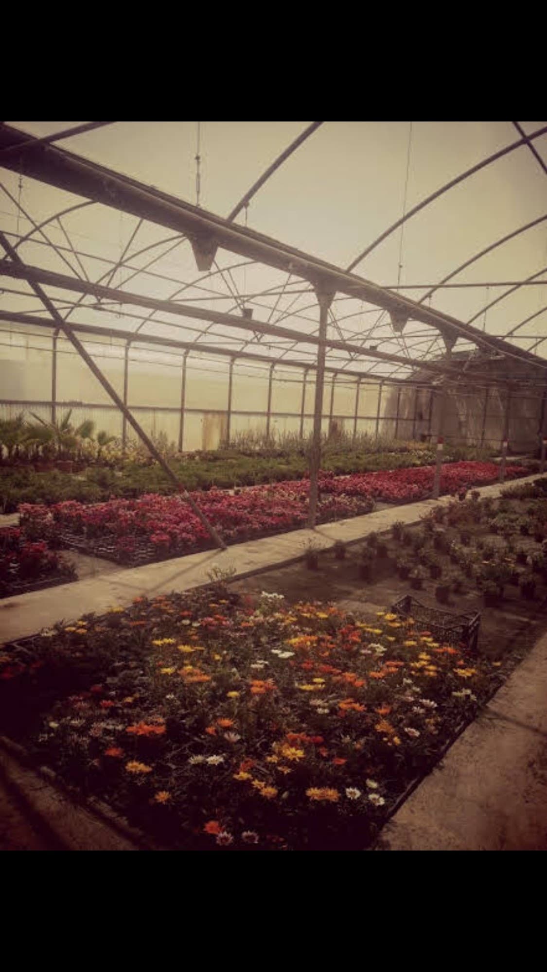 Foto secundaria del campus Institut d'Horticultura i Jardineria