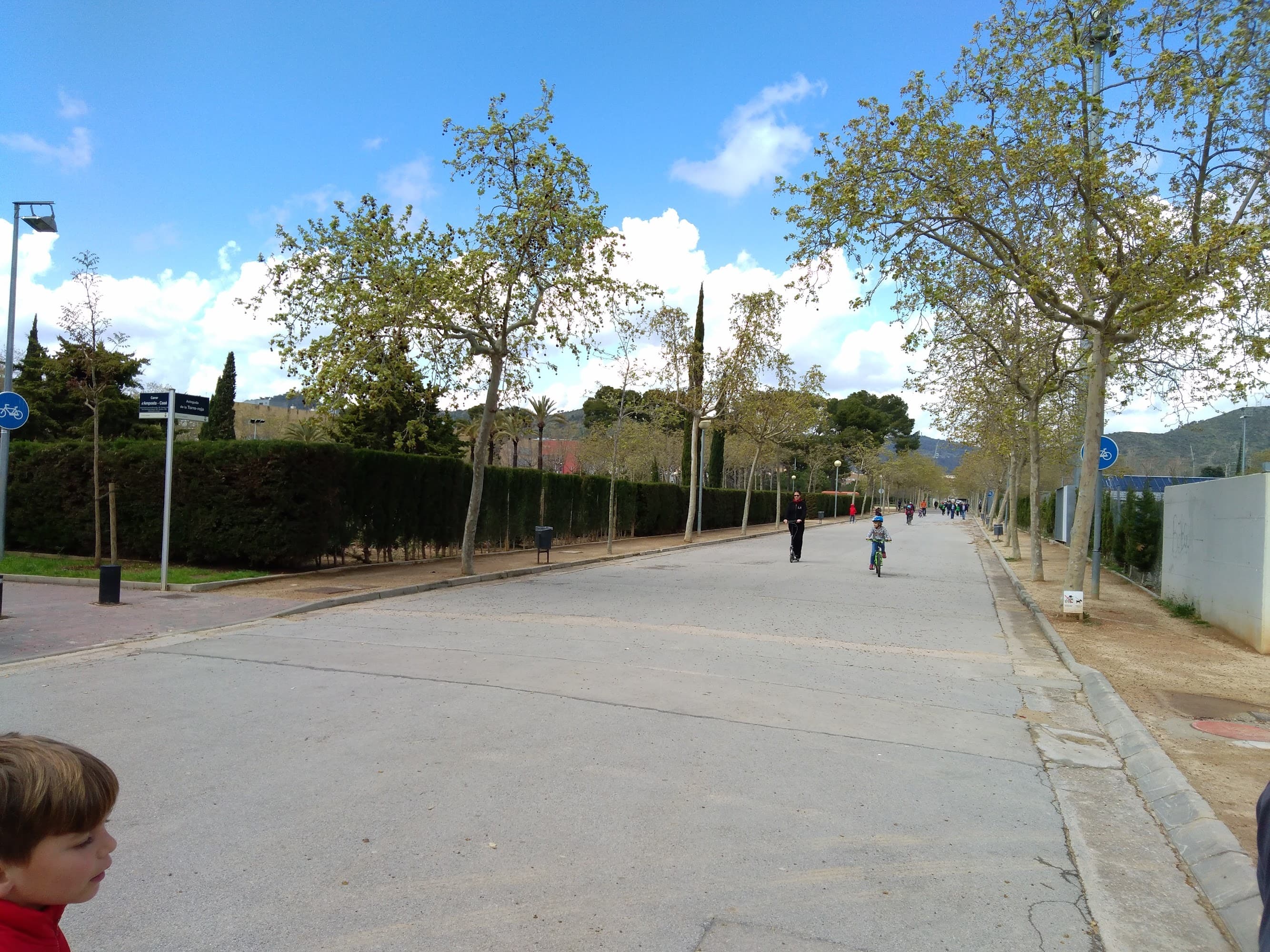Foto secundaria del campus Institut Torre Roja