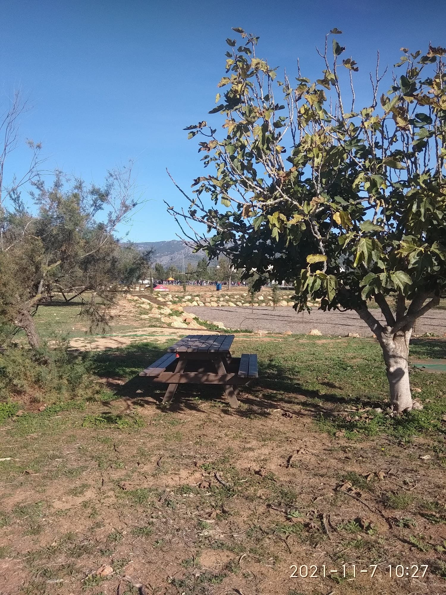 Foto secundaria del campus Campus de Mallorca