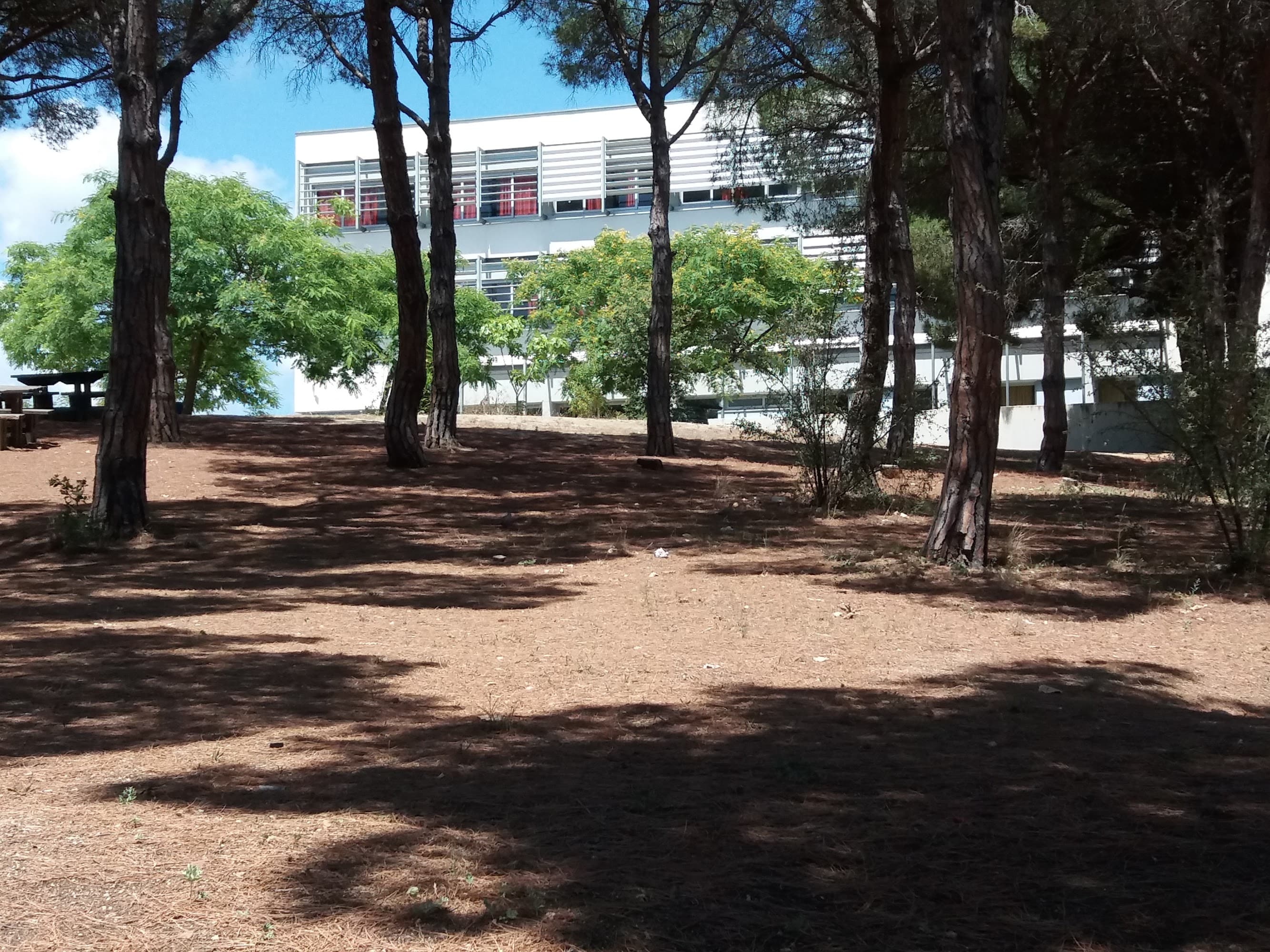 Foto secundaria del campus Institut Els Tres Turons
