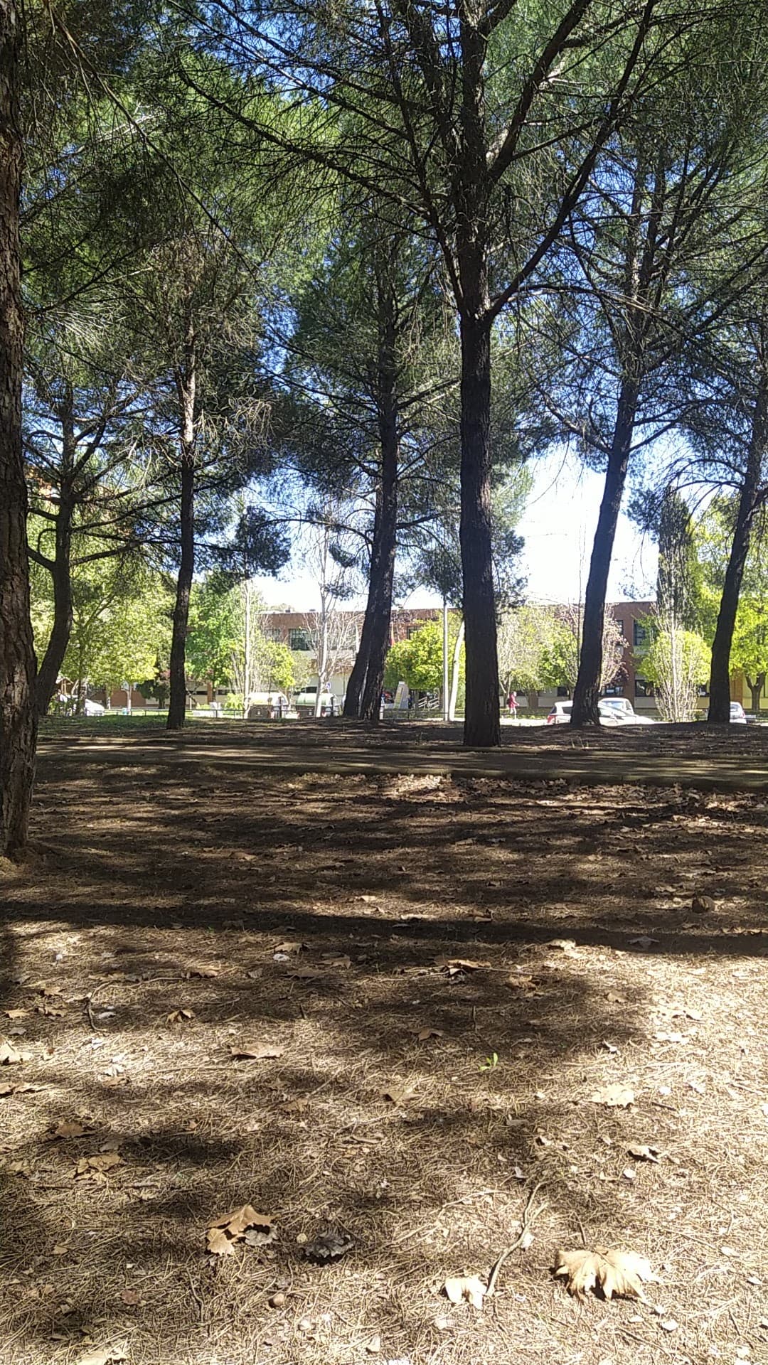 Foto secundaria del campus Facultad de Ciencias