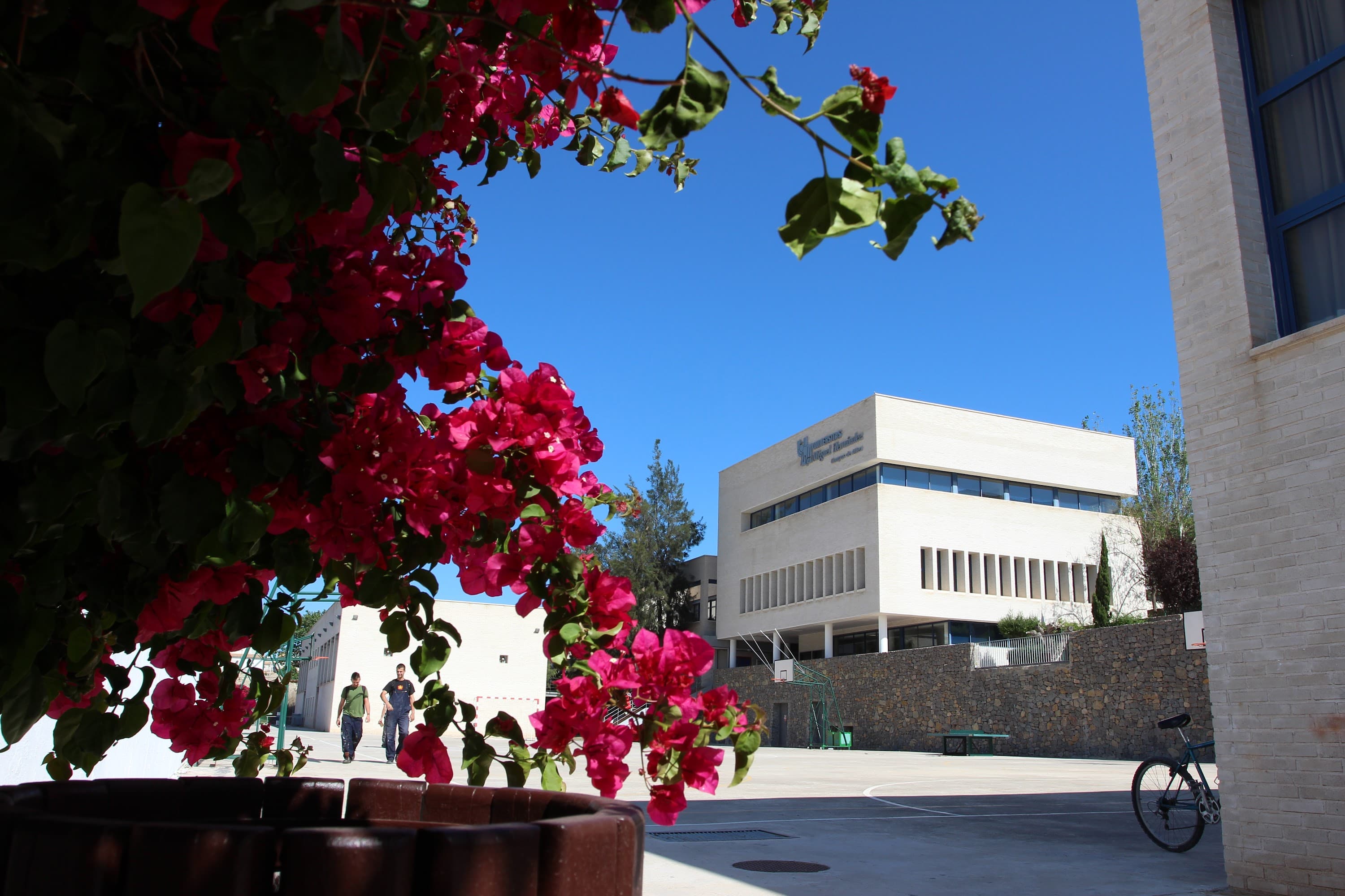 Foto secundaria del campus Campus de Altea