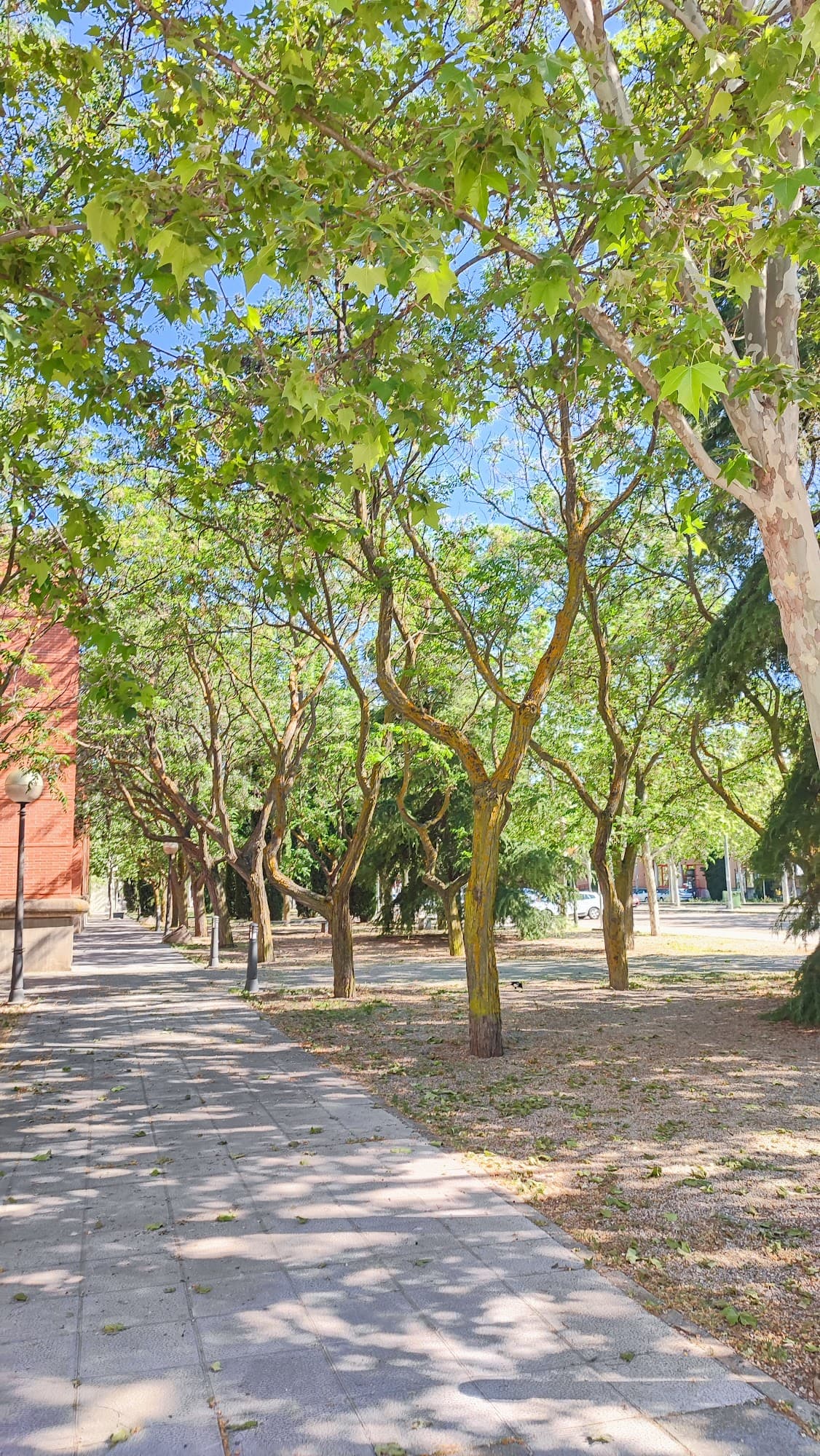 Foto secundaria del campus Facultad de Enfermería de Ciudad Real