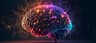 Investigador en Neurociencia