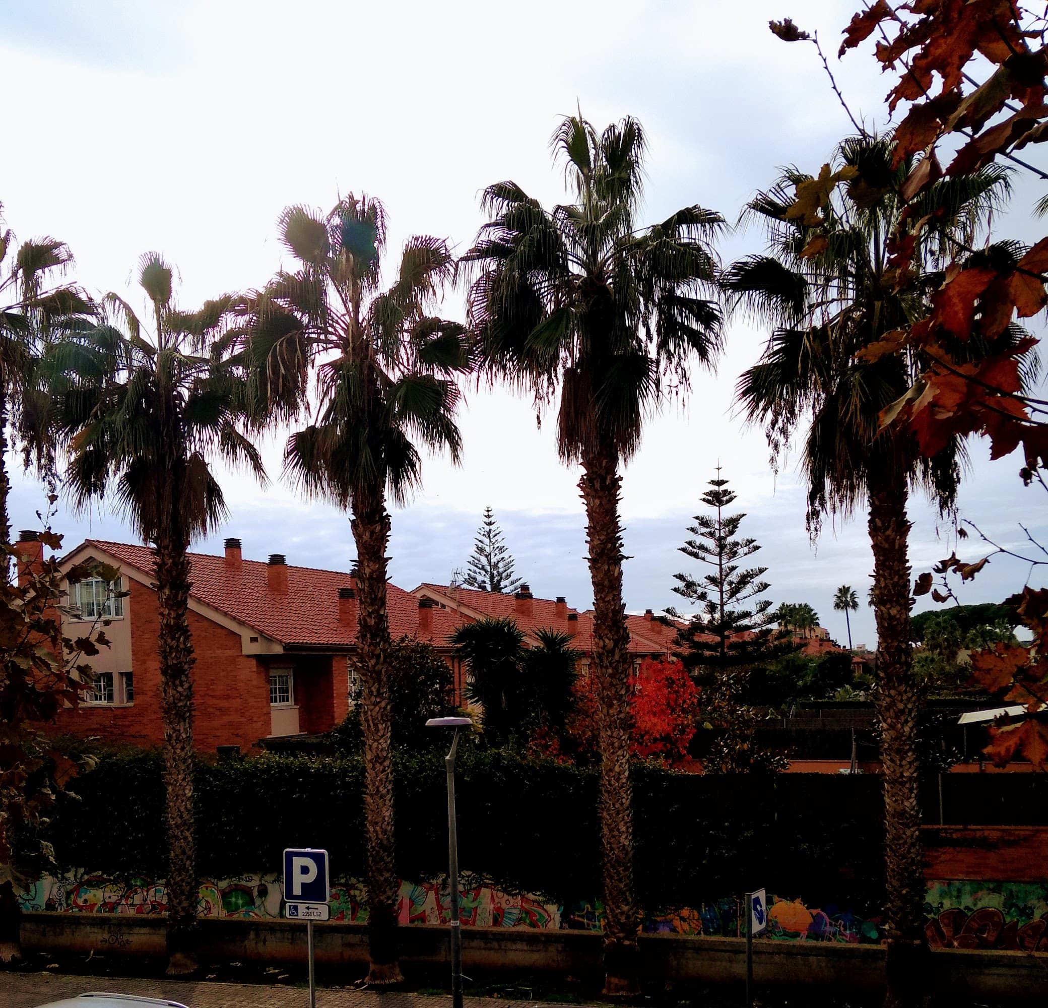 Foto secundaria del campus Institut Premià de Mar