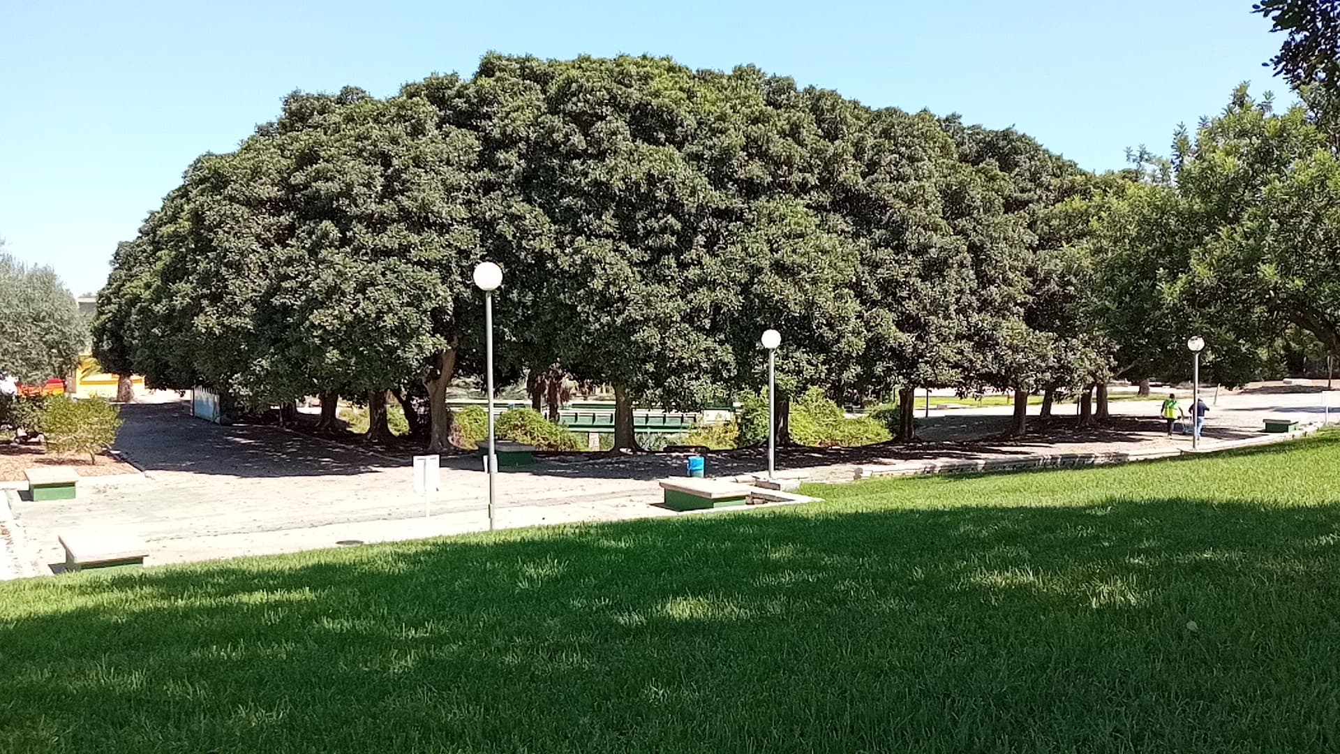 Foto secundaria del campus Facultad de Matemáticas