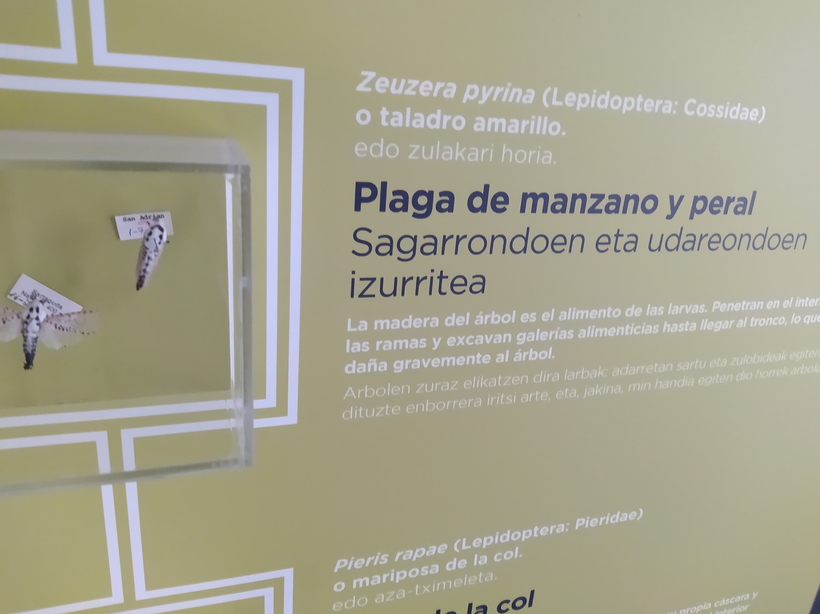 Foto secundaria del campus Escuela Técnica Superior de Ingeniería Agronómica y Biociencias