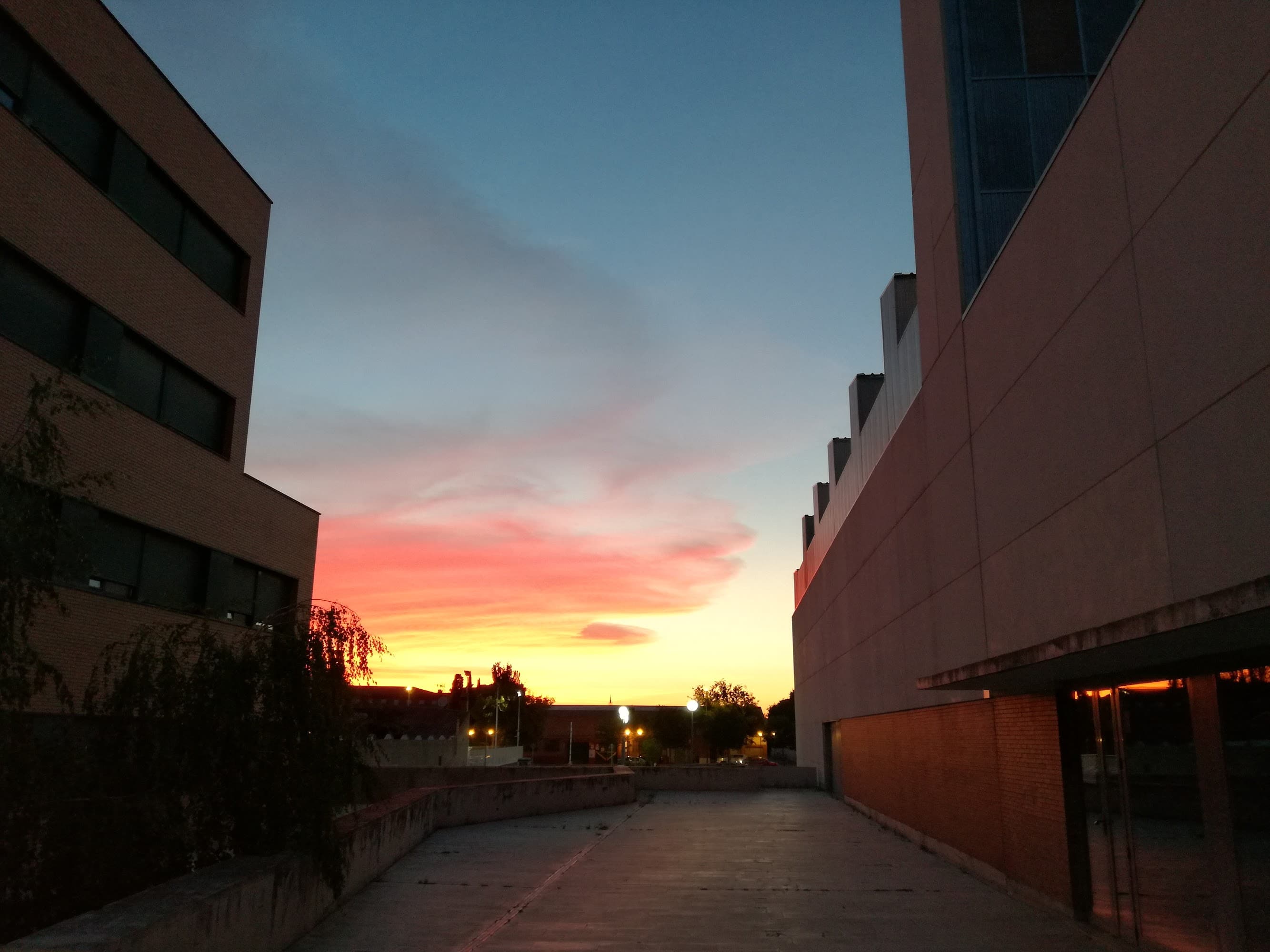 Foto secundaria del campus Facultad de Educación y Trabajo Social