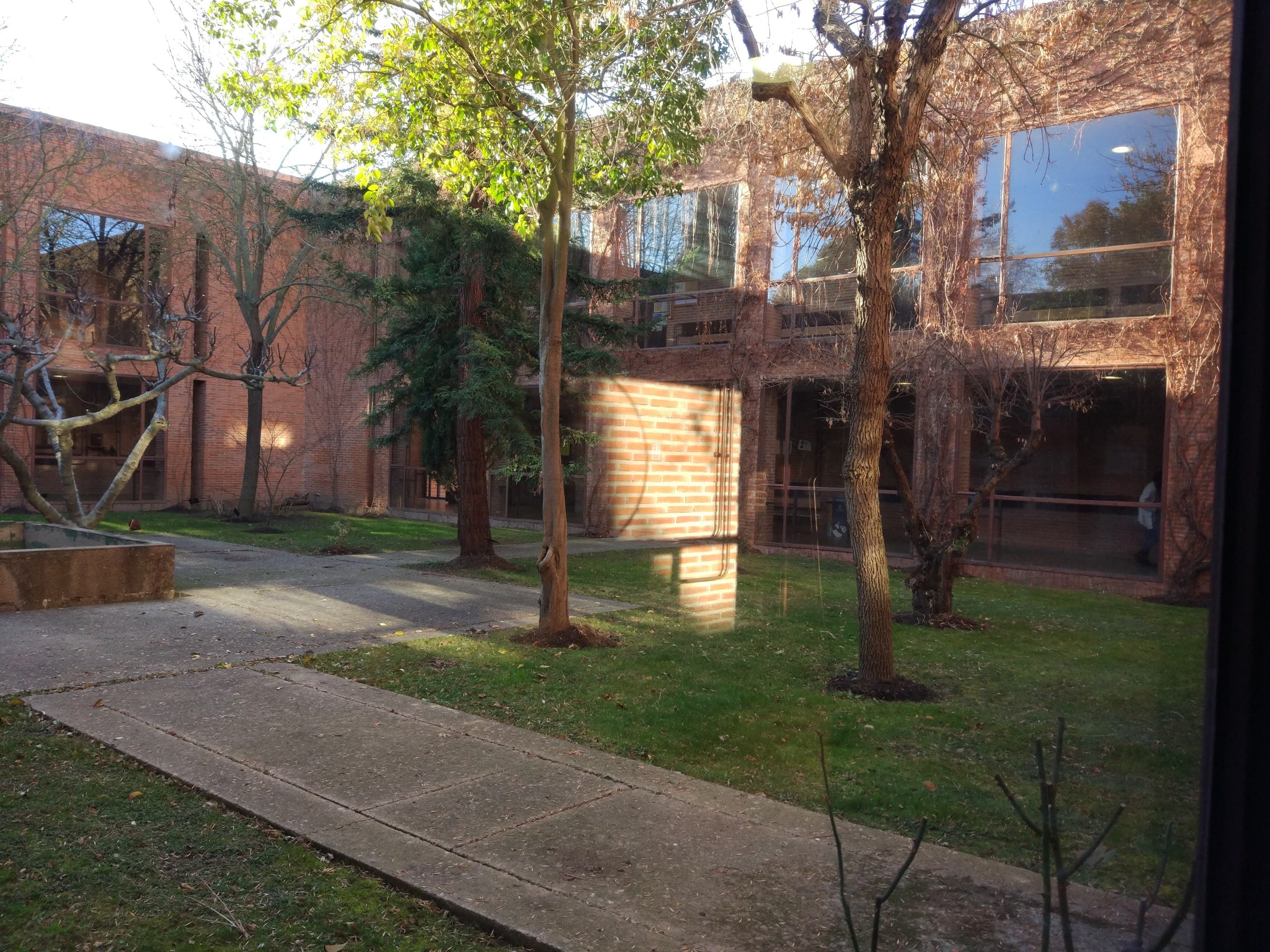 Foto secundaria del campus Facultad de Farmacia