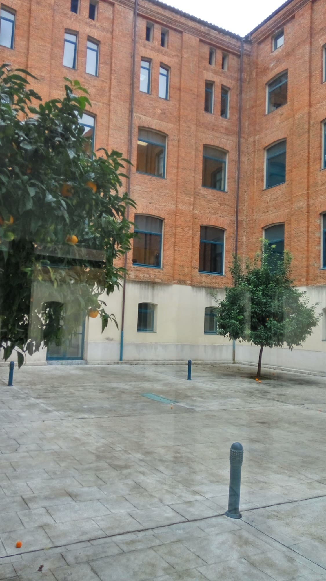 Foto secundaria del campus Centro Universitario de Plasencia