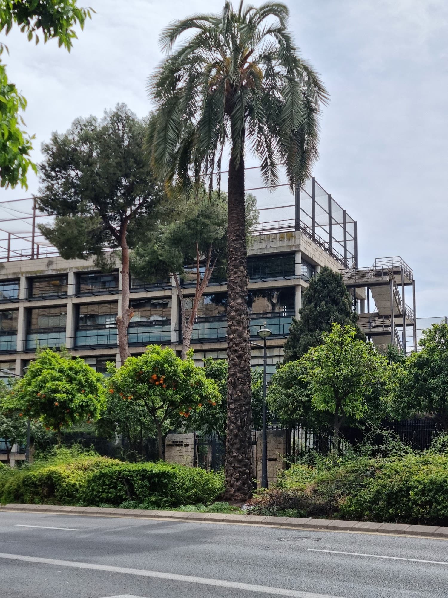 Foto secundaria del campus Facultat de Fisioteràpia