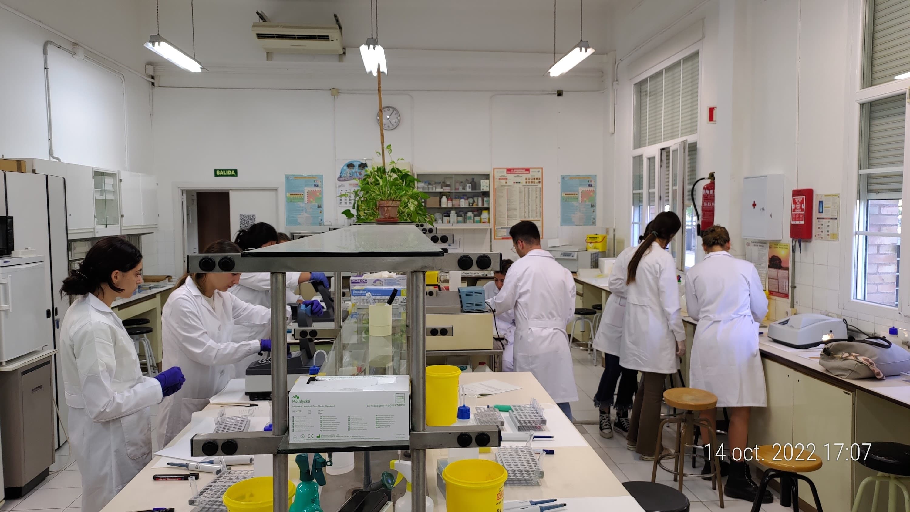 Foto secundaria del campus Facultad de Enfermería, Fisioterapia y Podología