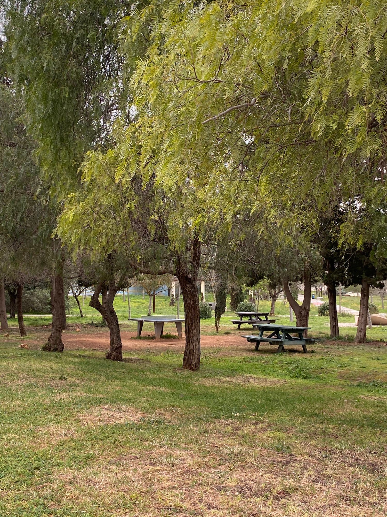 Foto secundaria del campus Campus de Mallorca