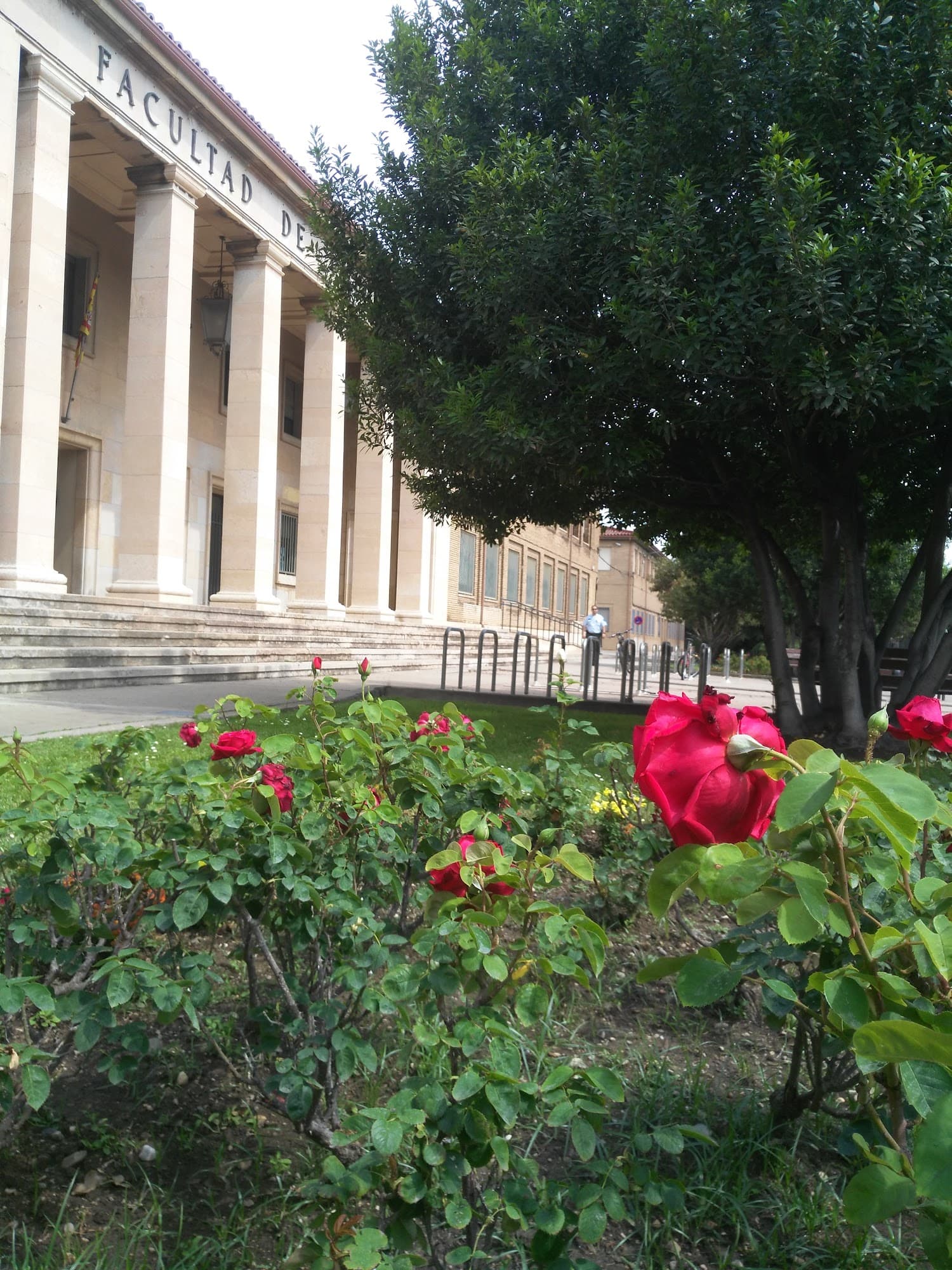 Foto secundaria del campus Facultad de Veterinaria