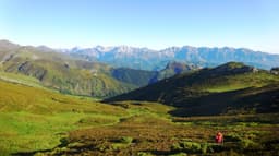 Facultad de Medicina