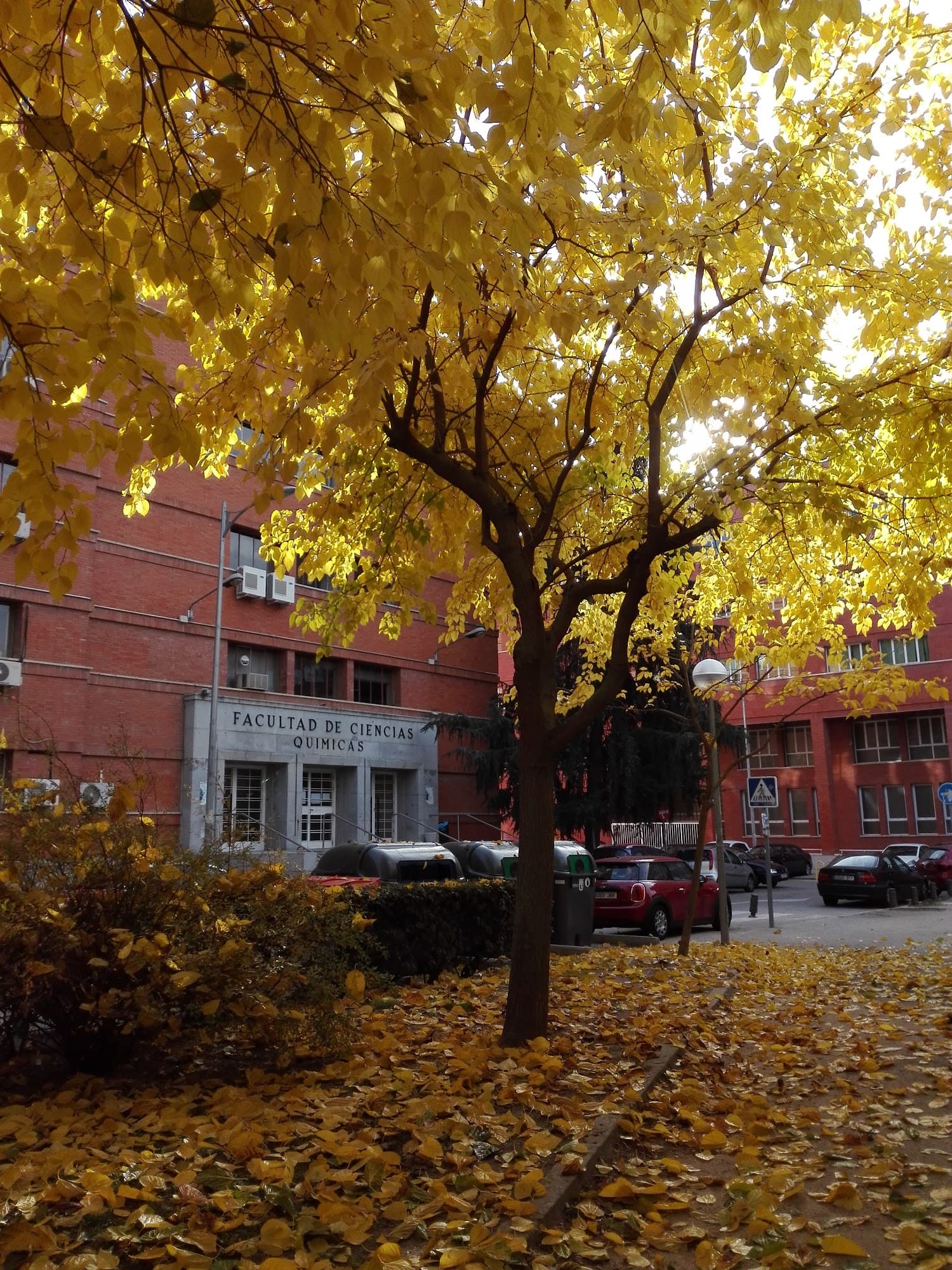 Foto secundaria del campus Facultad de Ciencias Químicas
