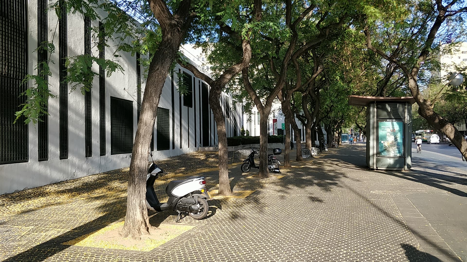Foto secundaria del campus Facultad de Ciencias Económicas y Empresariales