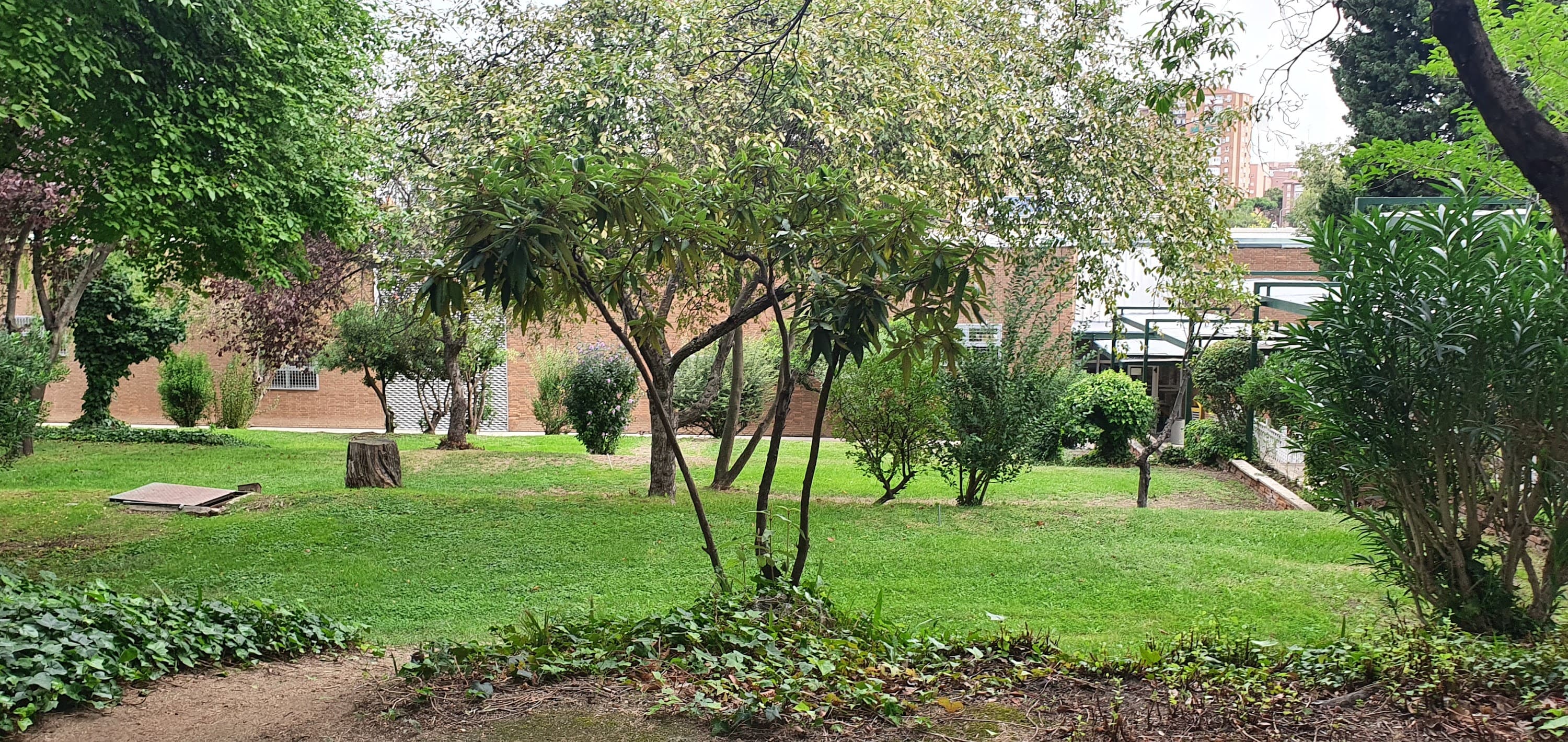 Foto secundaria del campus Facultad de Medicina