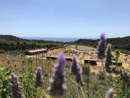 Club Hípic Canet de Mar