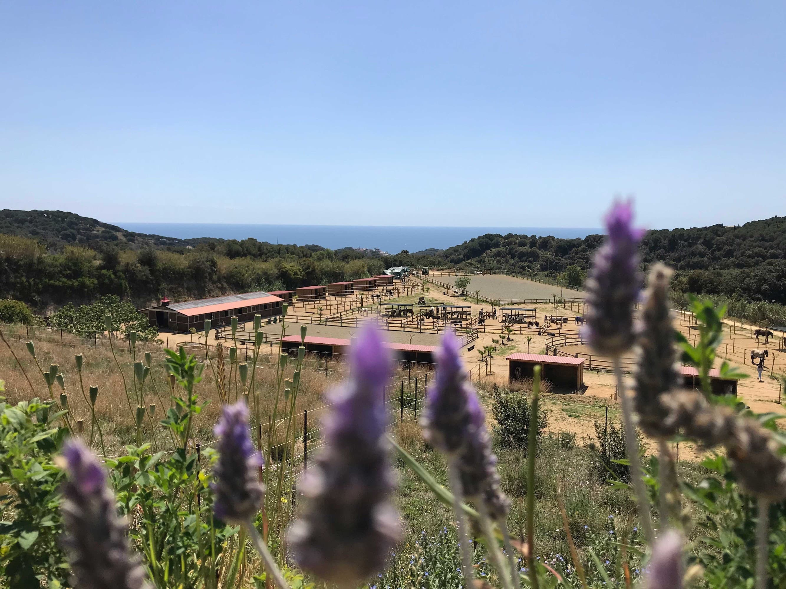 Foto del campus Club Hípic Canet de Mar