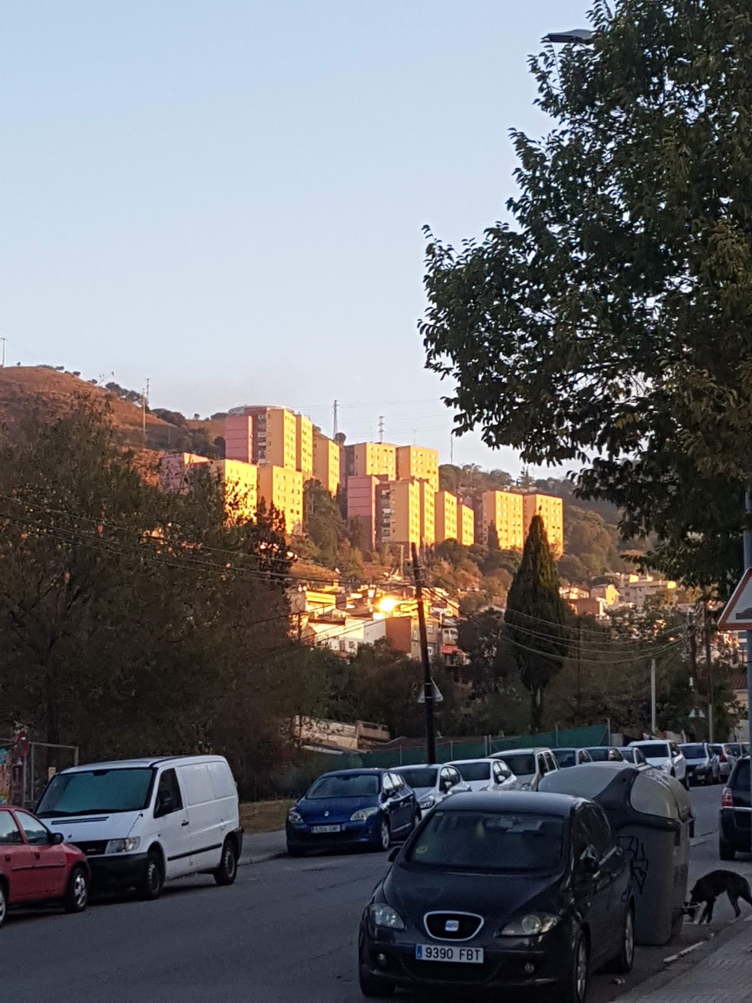 Foto secundaria del campus Institut Puig Castellar