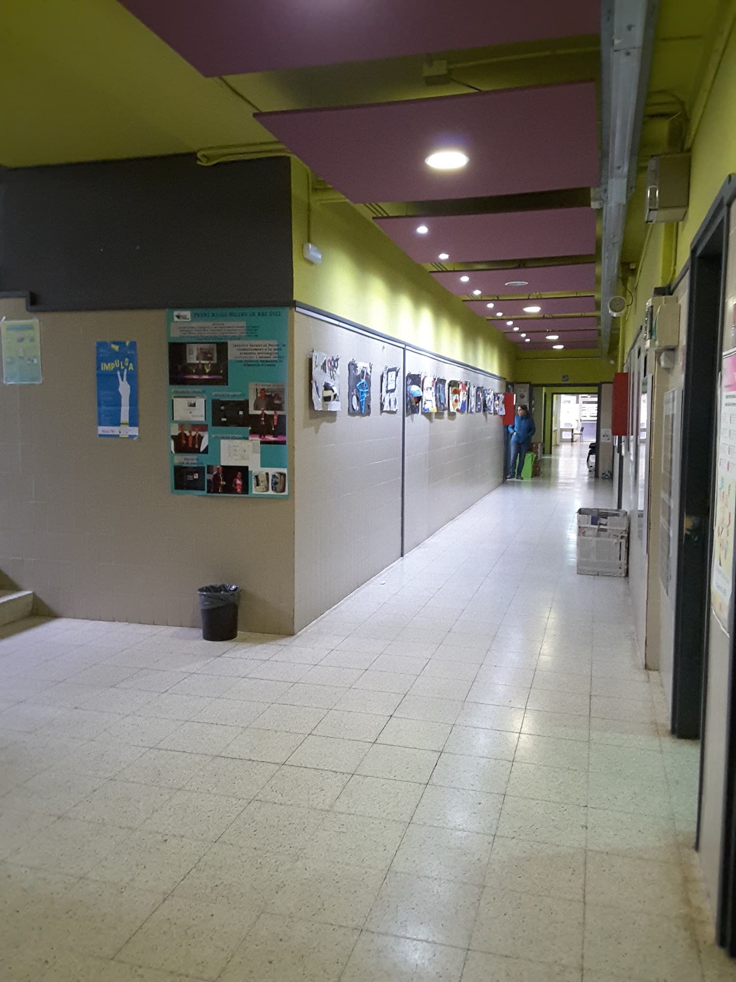 Foto secundaria del campus Institut Bernat el Ferrer