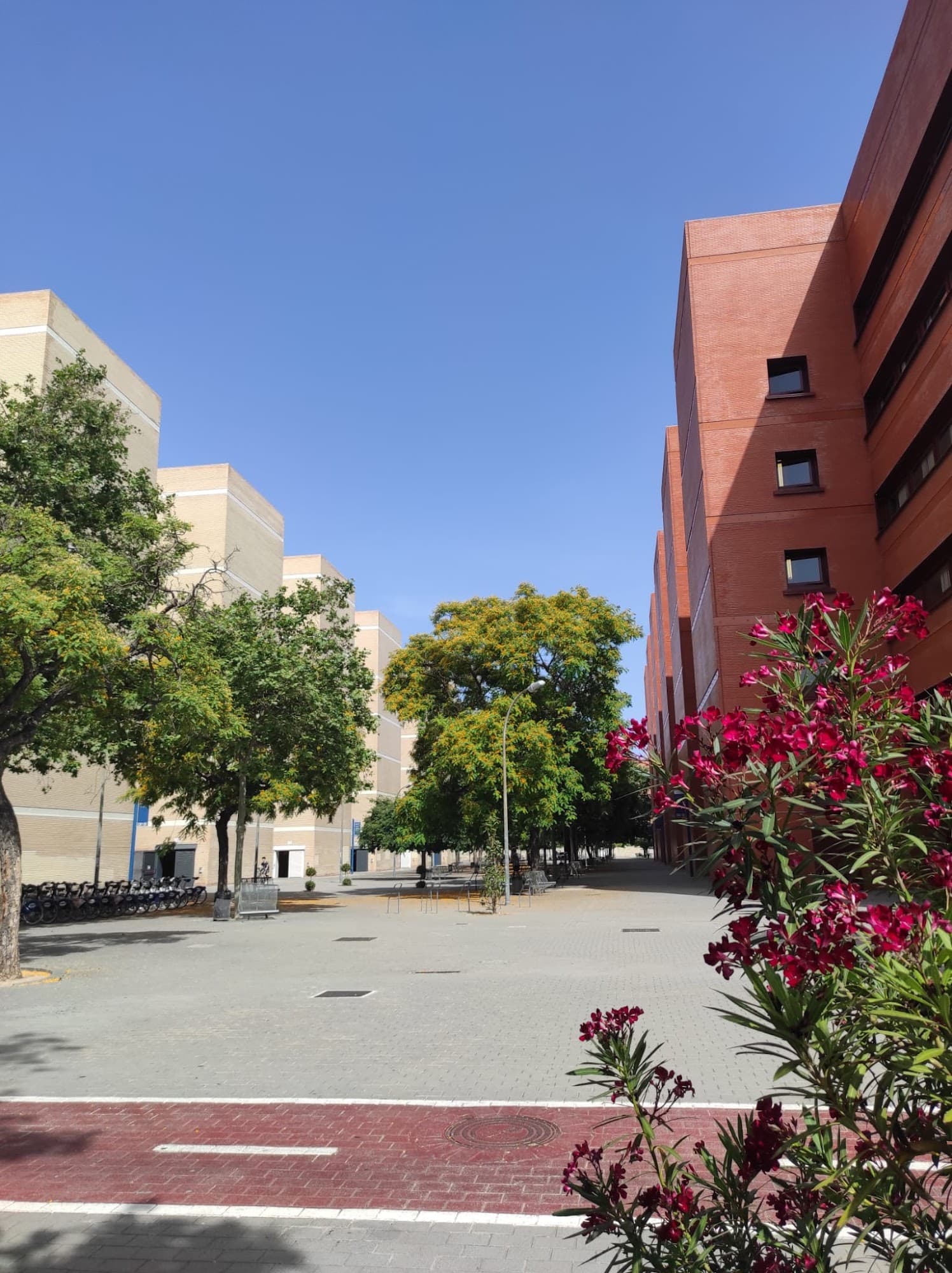 Foto secundaria del campus Facultad de Economía