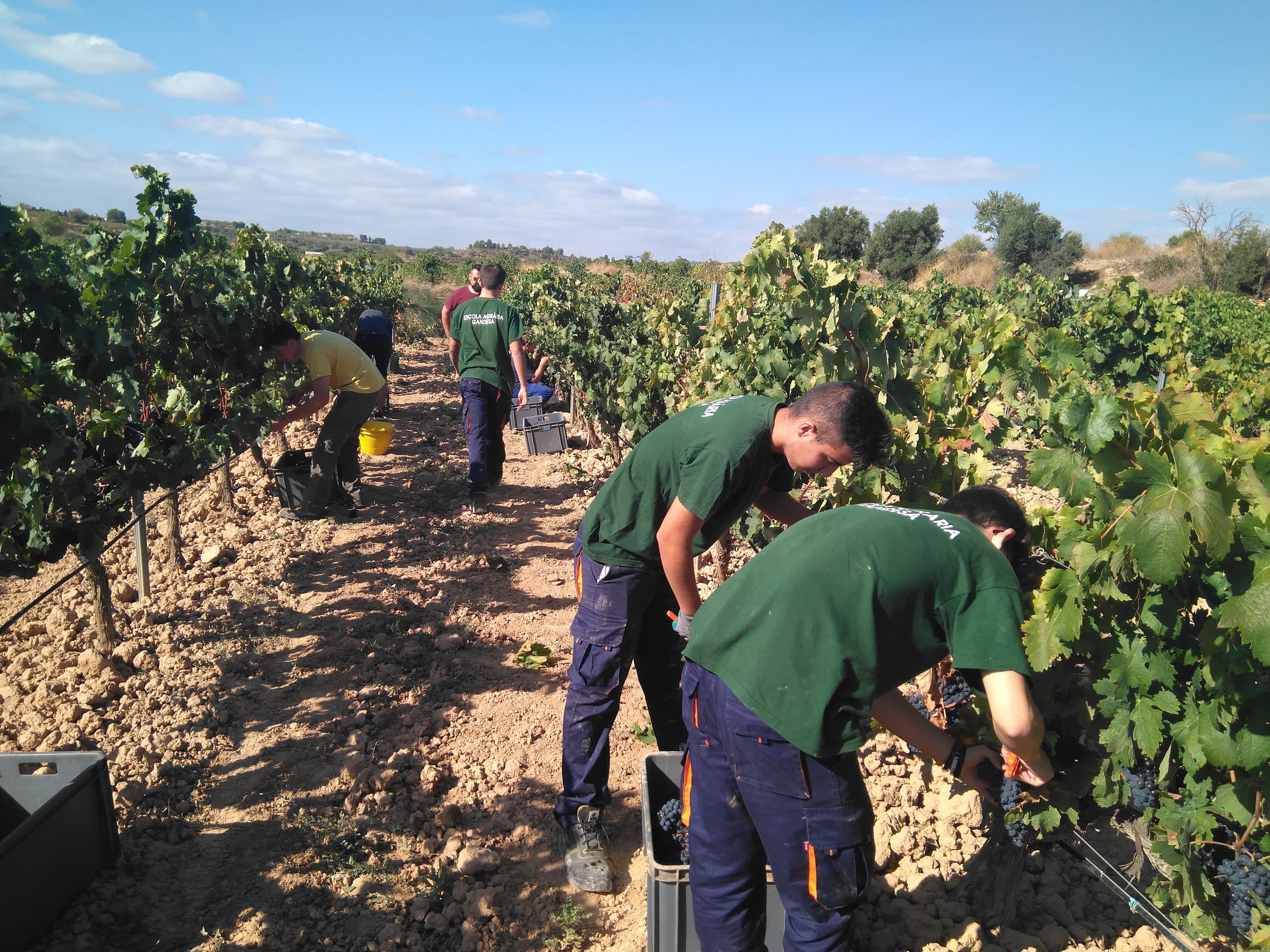 Foto secundaria del campus Escola Agrària de Gandesa
