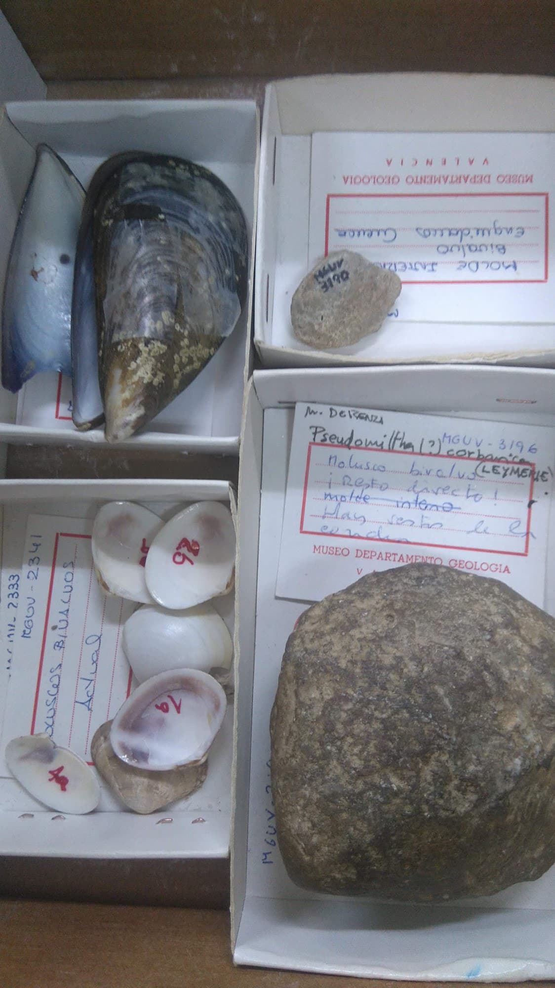 Foto secundaria del campus Facultad de Ciencias Biológicas