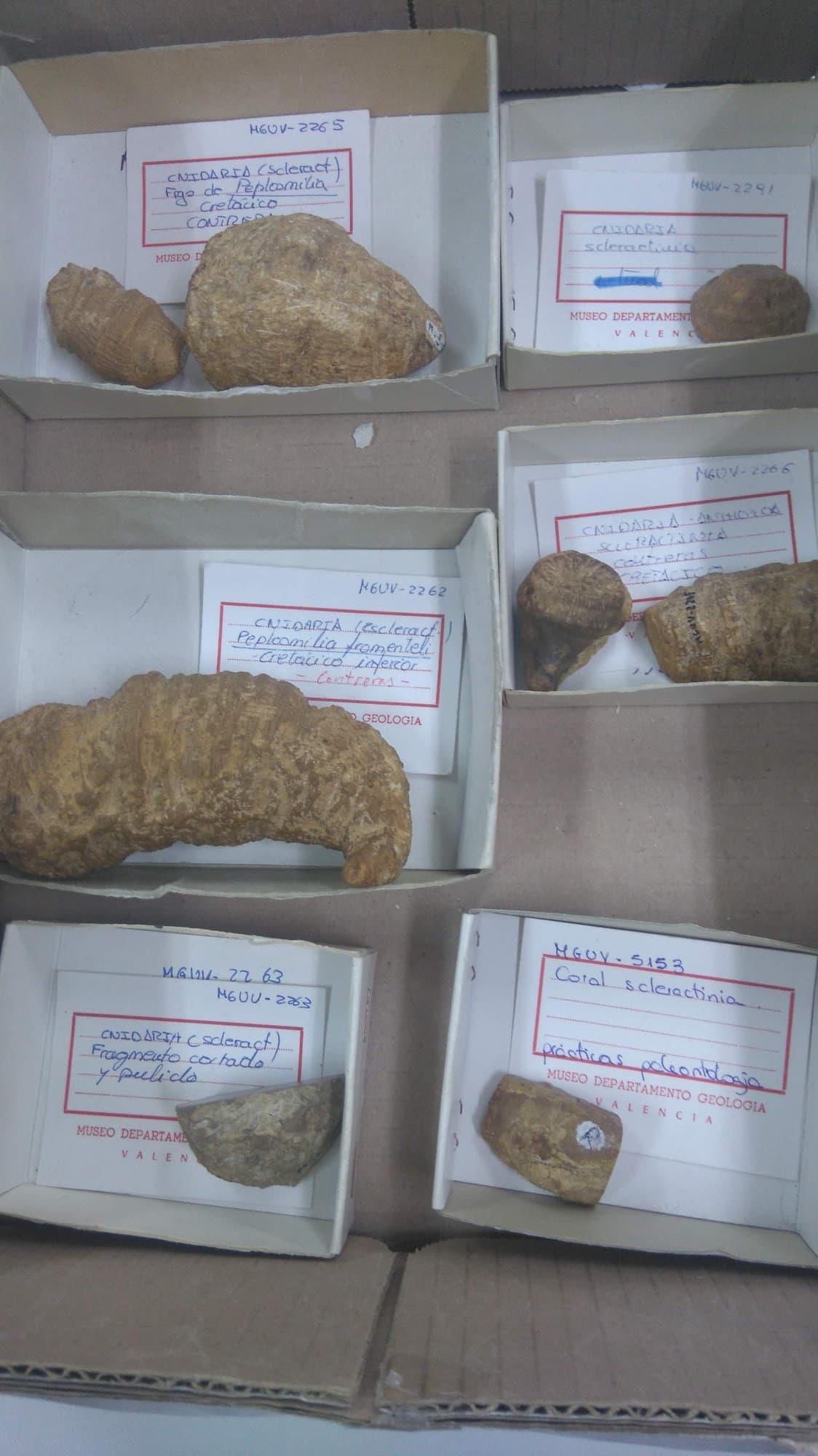 Foto secundaria del campus Facultad de Ciencias Biológicas