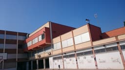 Institut Alexandre Satorras