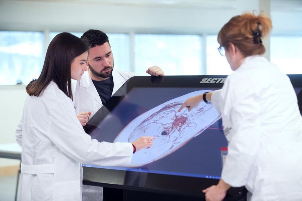 Foto secundaria del campus Facultad de Medicina