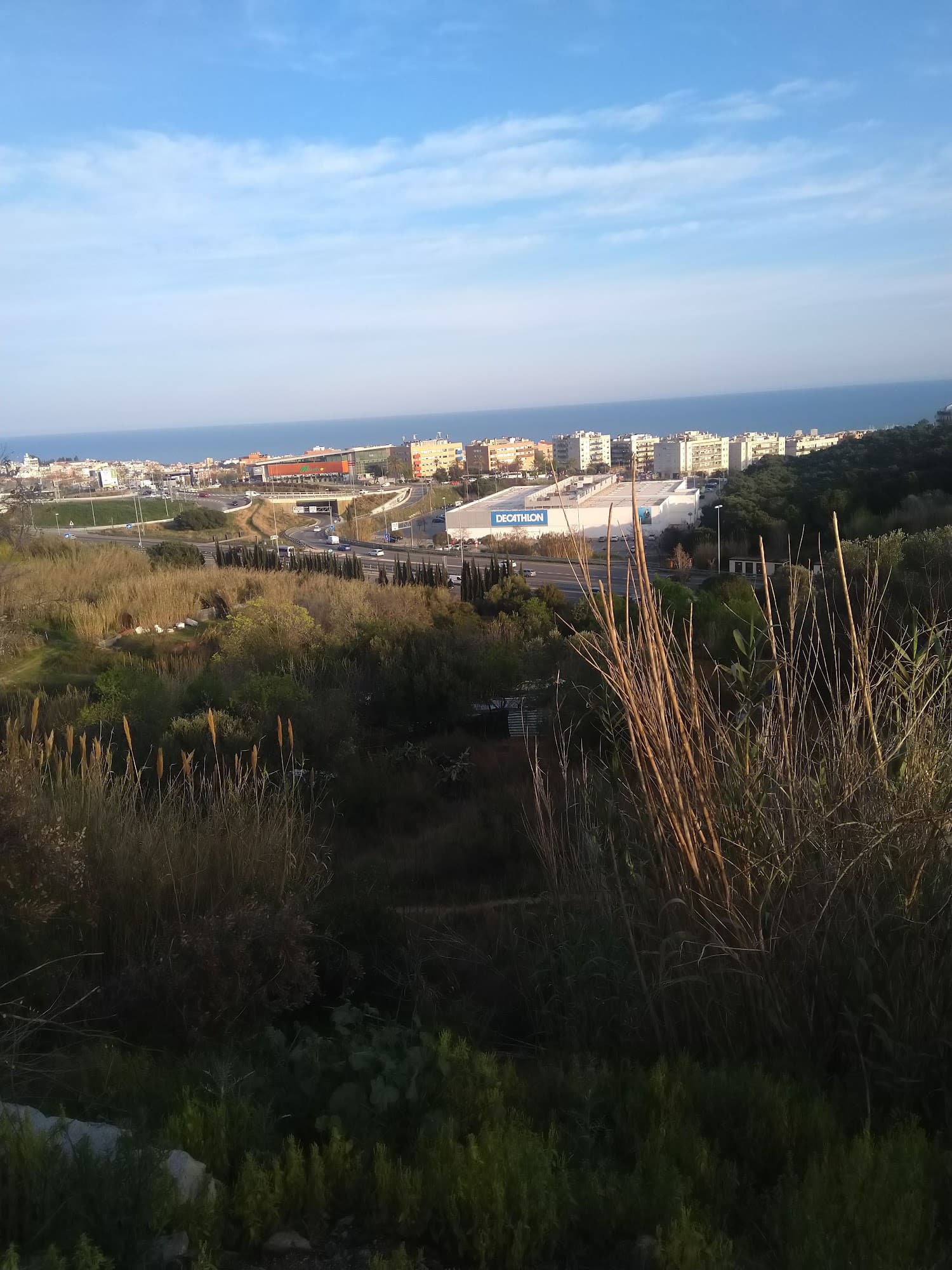 Foto secundaria del campus Institut d'Argentona